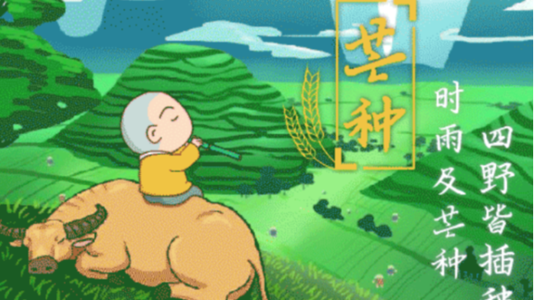 让辉达娱乐
在芒种这个节气里发扬农民的精神创造属于自己的美好未来